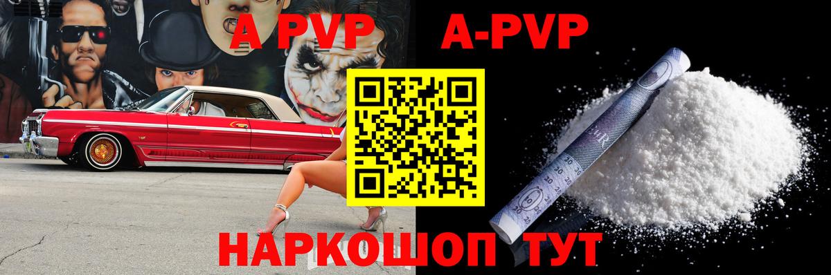 A PVP СК КРИС Киселёвск